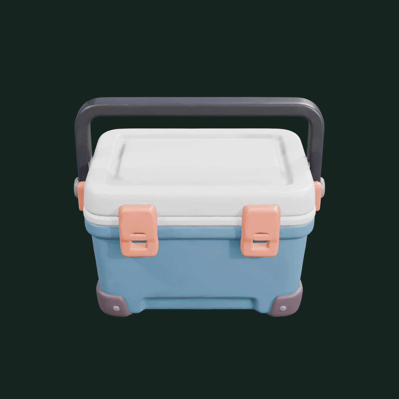 Small Cooler Box — vista 2
